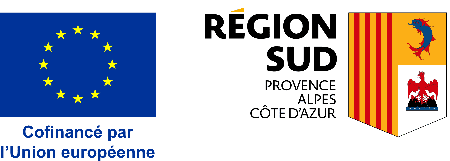 FSE LOGO
